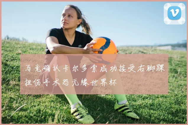 马竞确认卡尔多索成功接受右脚踝扭伤手术恐无缘世界杯